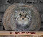 Нажмите на изображение для увеличения.&nbsp;

Название:	54079.jpg&nbsp;
Просмотров:	728&nbsp;
Размер:	53.1 Кб&nbsp;
ID:	40232