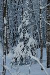 Нажмите на изображение для увеличения.&nbsp;

Название:	DSC_0053.jpg&nbsp;
Просмотров:	198&nbsp;
Размер:	444.6 Кб&nbsp;
ID:	60810