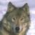 Аватар для DWolf